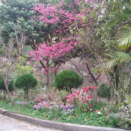 Ruyi Yuan Homestay Tongxiao ภายนอก รูปภาพ